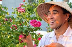 Trọng Tấn trồng dưa, Quyền Linh chăm hoa những ngày giãn cách phòng dịch Covid-19