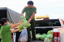 Cấp bách triển khai gói hỗ trợ tổng thể