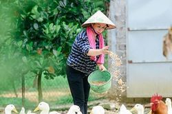 Ở nhà mùa dịch, nam sinh chụp bộ ảnh về mẹ khiến dân mạng 'tấm tắc' khen