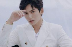 Trương Triết Hạn bị tẩy chay, nhiều fan vẫn không 'quay lưng': Tôi chọn tin anh ấy không cần lý do