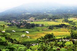 Vùng cao Bát Xát mùa lúa chín