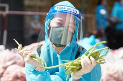 Hoa hậu, á hậu bốc vác hàng tấn rau củ tặng người dân TP.HCM