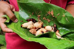 10 món ăn châu Á khiến thế giới phải rùng mình