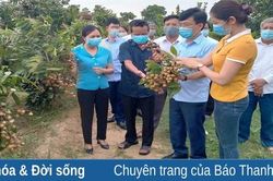 Hội Nông dân huyện Nông Cống chung tay giải cứu nông sản cho người dân