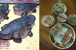 Loạt ảnh ở nhà cuối tuần khiến dân tình cười nghiêng ngả