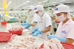 Nông nghiệp phía nam: Khẩn trương gỡ vướng thu hoạch và tiêu thụ