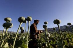 Quá nhanh, quá nguy hiểm, một Taliban giàu có và lớn mạnh lấy tiền từ đâu?