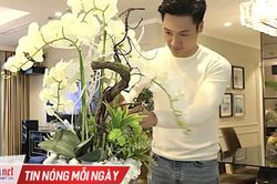 Căn hộ đẹp long lanh của 'nam thần' Mạnh Trường