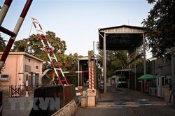 Australia, New Zealand tăng tốc sơ tán công dân khỏi Afghanistan