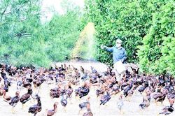 'Cầu nối' kiến thức cho người dân xã biển