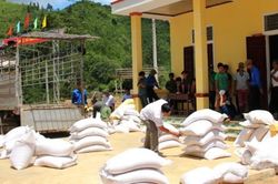Hỗ trợ hơn 4.117 tấn gạo cứu đói cho người dân bị ảnh hưởng bởi Covid-19
