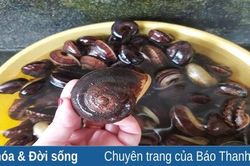 Giòn ngon ốc đá miền Tây xứ Thanh
