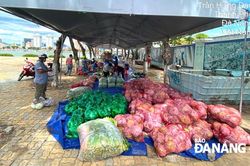 Ổn định cung ứng nhu yếu phẩm cho người dân