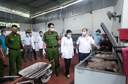 Phát hiện, tiêu hủy một tấn thịt nhiễm virus tả lợn châu Phi