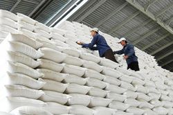 Đề xuất hỗ trợ hơn 130 nghìn tấn gạo cho 24 địa phương thực hiện giãn cách