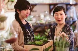 Có nên bán nhà Hà Nội rồi về quê sống với bố mẹ chồng?