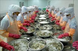 Đề xuất giảm tiền điện và nhiều khoản phí cho doanh nghiệp thủy sản