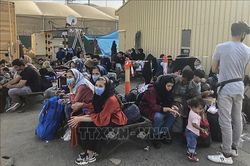 Khoảng 1.500 người tị nạn Afghanistan chạy trốn sang Uzbekistan