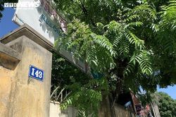 Bộ KHĐT: Sẽ kiểm tra thông tin công ty tăng vốn lên 128.000 tỷ đồng ở Hà Nội