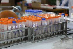 Phát hiện gia đình 4 người tại Gia Lâm dương tính với nCoV