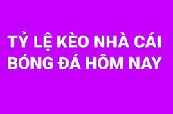 Tỷ lệ kèo nhà cái trực tuyến bóng đá Ngoại hạng Anh vòng 2