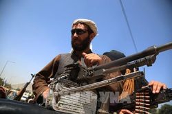 G7 kêu gọi cộng đồng quốc tế đoàn kết ứng phó khủng hoảng tại Afghanistan