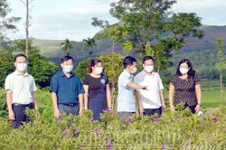 Các cơ quan, đơn vị cam kết quản lý chăm sóc bồn hoa cây cảnh
