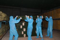 Xuất cấp 260 bộ nhà bạt cứu sinh cho TP Hồ Chí Minh phục vụ công tác phòng chống dịch