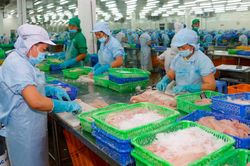 Đề xuất Bảo hiểm xã hội trả lương cho người lao động phải đi cách ly