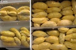Trữ sầu riêng kín tủ lạnh, cô gái khiến bao người 'chảy nước miếng'