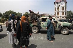 Tổng thống Nga kêu gọi thế giới cần ngăn chặn Afghanistan 'sụp đổ'