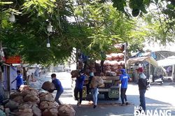 Phân bổ gần 130 tấn rau, củ, quả cho người dân