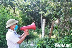 Người Cơ tu giữ 'vùng xanh'