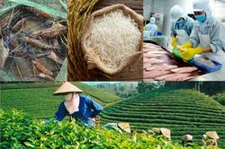 Chuyện 'lạ' của ngành Công Thương: Hàng sản xuất được thì nhập khẩu, hàng đang thiếu lại xuất khẩu