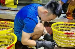 Phải cứu các cầu thủ Quảng Ninh!