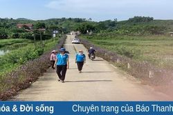 Những con đường hoa ở Hoạt Giang