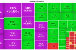Cổ phiếu chứng khoán bất ngờ tím ngắt, thị trường vẫn rớt thảm
