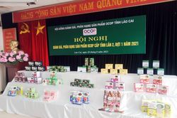 Lào Cai có 100 sản phẩm OCOP