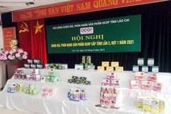 Lào Cai có 100 sản phẩm đạt tiêu chuẩn OCOP của Nhật Bản