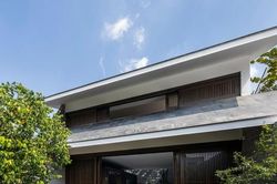 Dùng cây xanh thay tường rào giúp nhà ở mát như ốc đảo