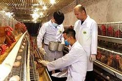 Sản xuất thành công giống gà 6 ngón Mẫu Sơn từ phương pháp thụ tinh nhân tạoTin khácCách mạng Tháng Tám thành công - đánh dấu thắng lợi đầu tiên cho con đường Hồ Chí Minh lựa chọnKết nối các nguồn lực chuẩn bị cơ sở vật chất cho năm học mới