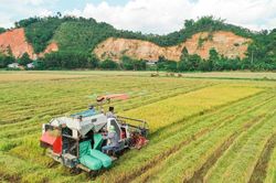 Tư duy đổi mới của nông dân