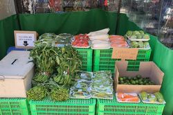 6 gian hàng đồng giá 10.000 đồng không người bán tại Hà Nội