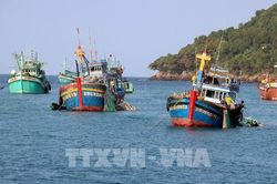 Cảnh báo mưa đông, gió mạnh và sóng lớn trên các vùng biển phía Nam
