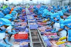 Ngành thủy sản gãy đà phục hồi vì làn sóng Covid-19 mới