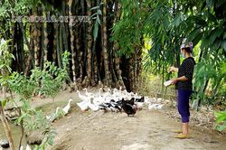 Hội viên phụ nữ tiêu biểu ở Sốp Cộp