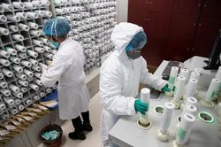 WHO: 'Việc tìm kiếm nguồn gốc COVID-19 đang bị đình trệ'