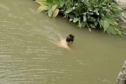 Ngâm mình nhiều giờ dưới sông, người đàn ông không dám lên bờ vì lý do tế nhị