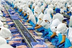 Tăng cường cảnh báo sớm, biện pháp 'sống còn' để xuất khẩu phát triển