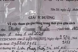 Hà Nội phát hiện Giấy đi đường của người bán cá mới '8 tháng tuổi'